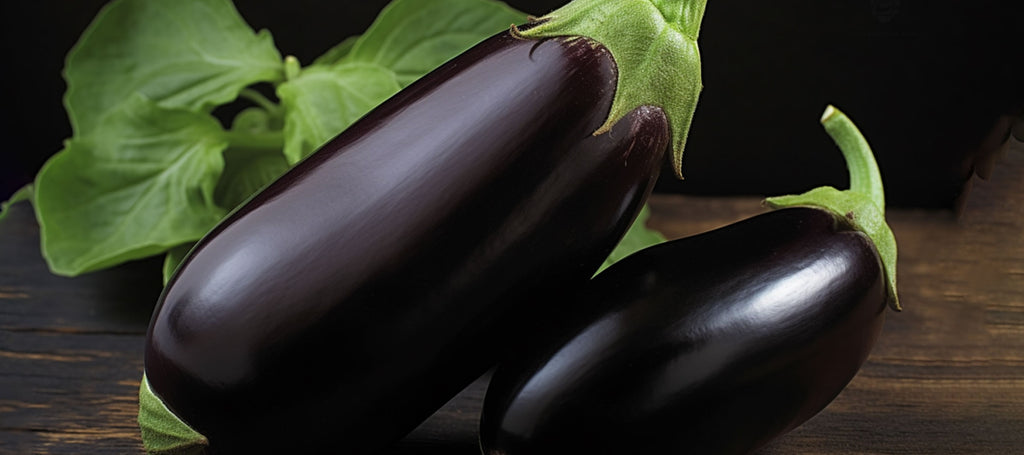 svart skönhets aubergine