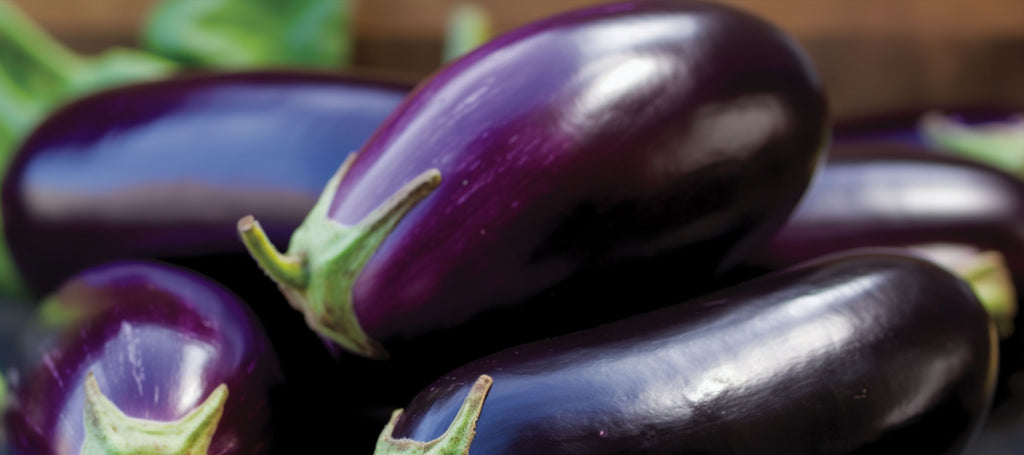 Italiaanse aubergine