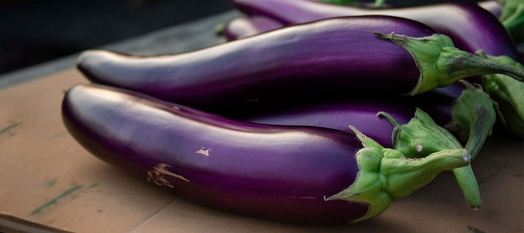 Japanische Aubergine