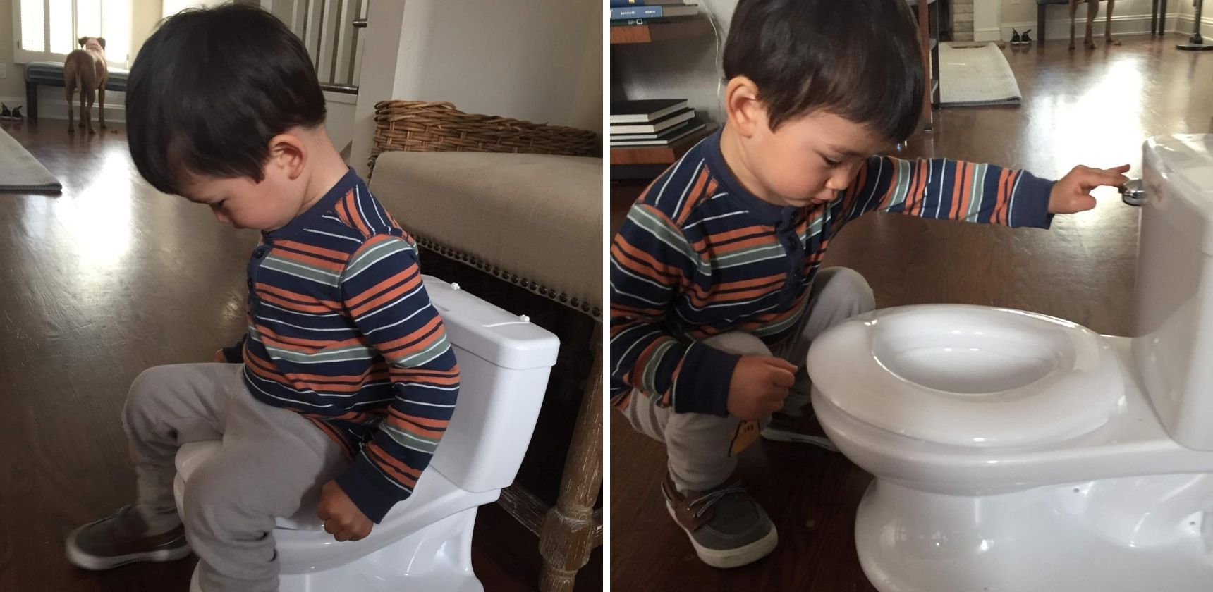Boy Inspecting Potty Chair