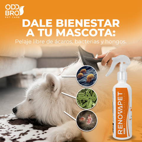 renovapet dermico elimina dermatitis en mascotas