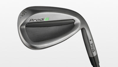 prodi g wedge