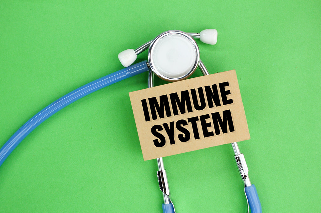 Immune System Support