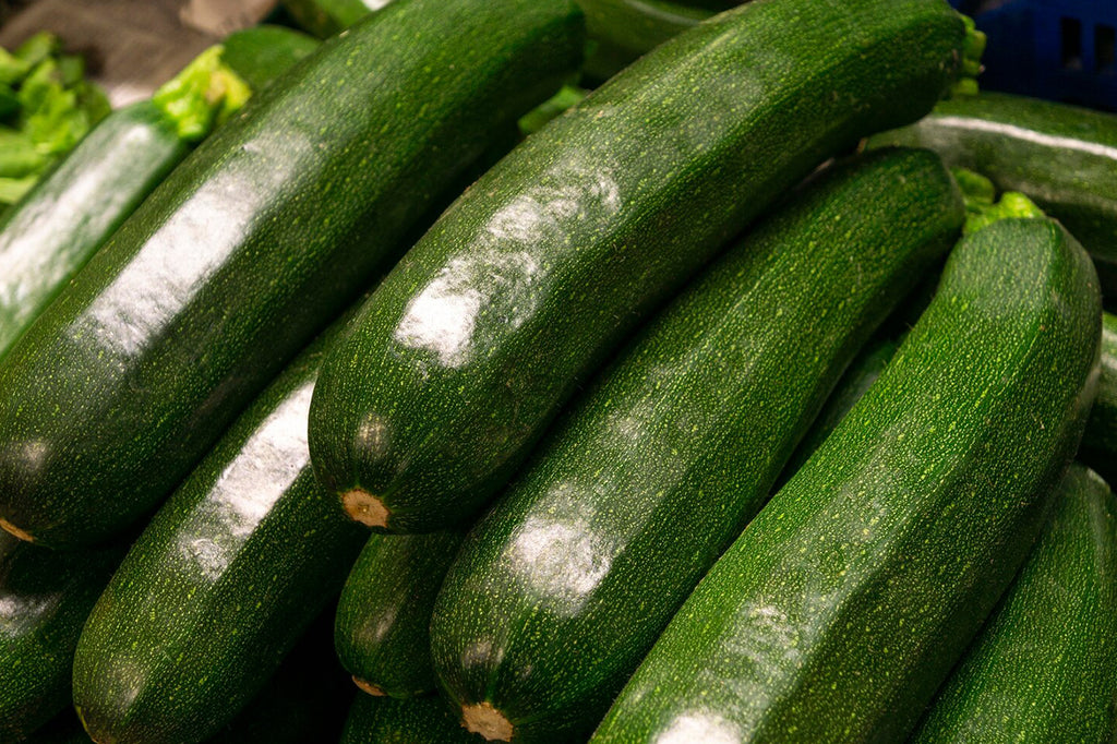 Zucchini