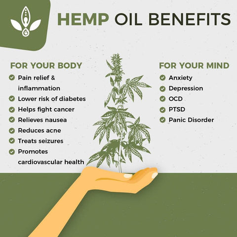 Hemp Seed Oil Benefits for Skin: How to use hemp oil in 2022? - 7 Top ...