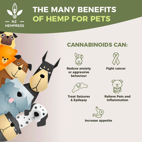 buy hemp oil for pets new zealand