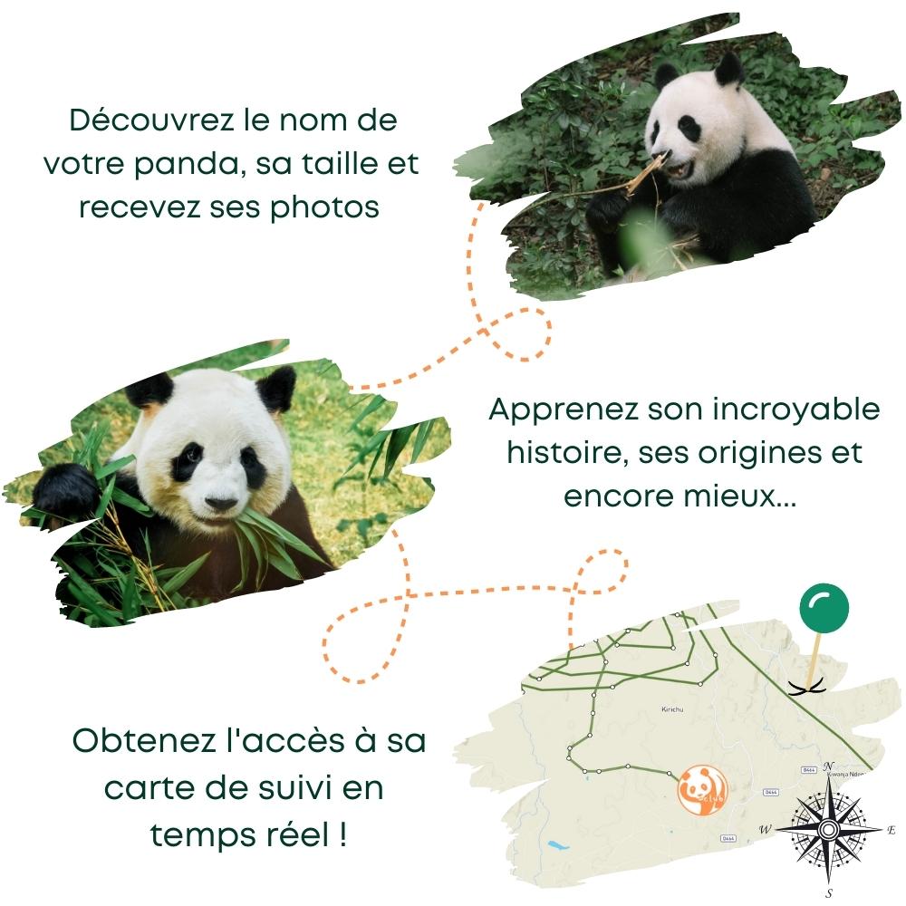 Rappel Consommateur - Détail BOULE DE NAPHTALINE PANDA