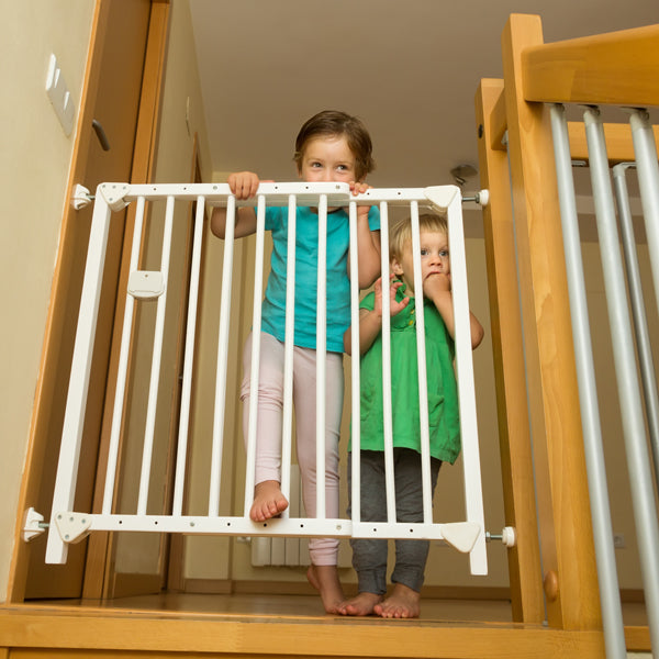 two kids trying to get through a baby gate