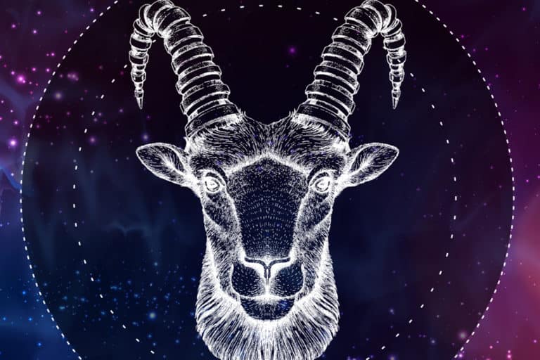 graphic of a Capricorn