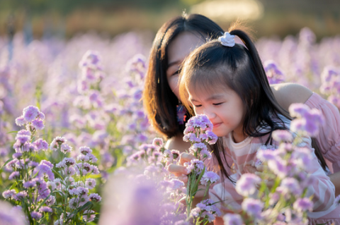 young girl with her mother sitting in a field and smelling lavender flowers