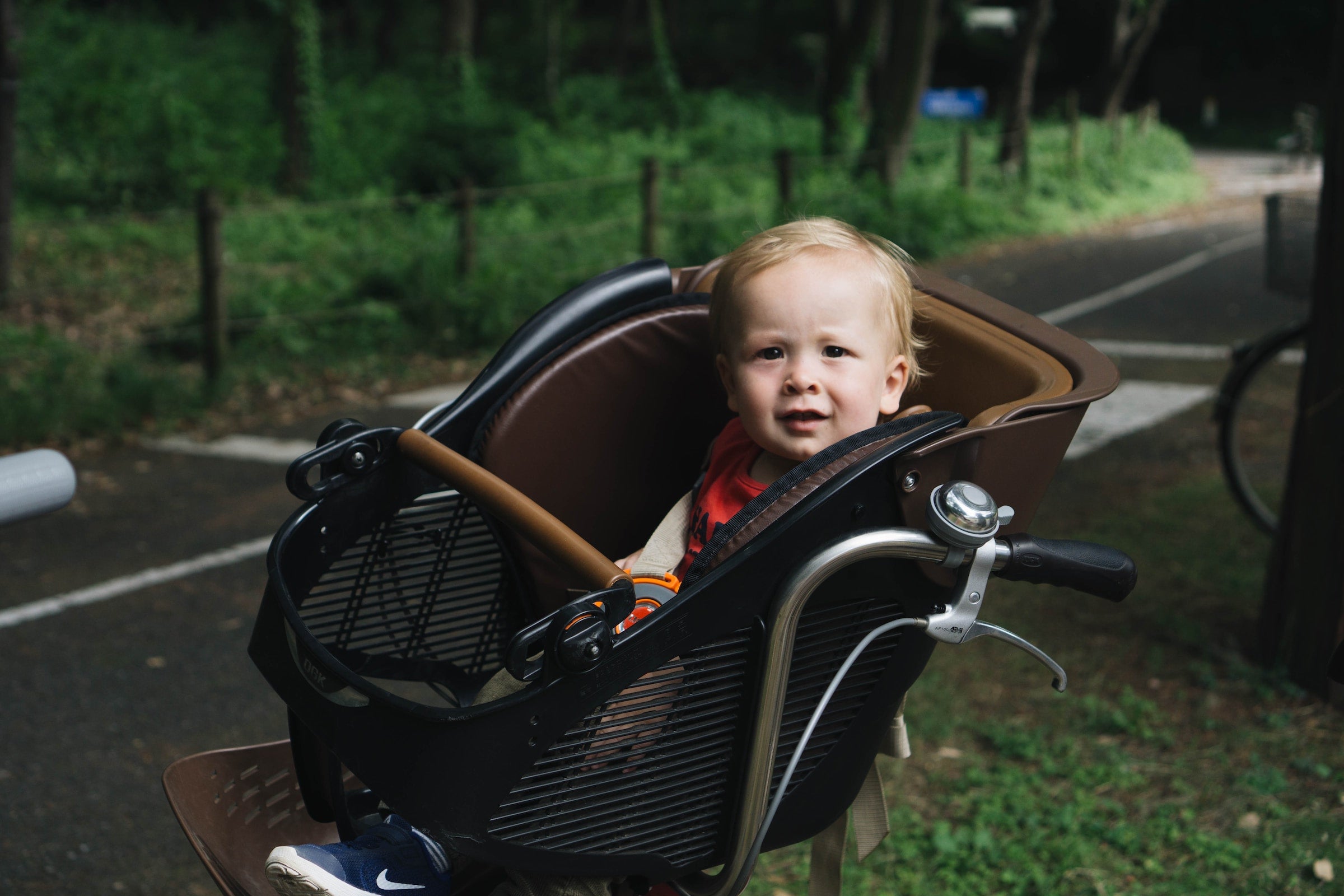 baby in a stroller in nature