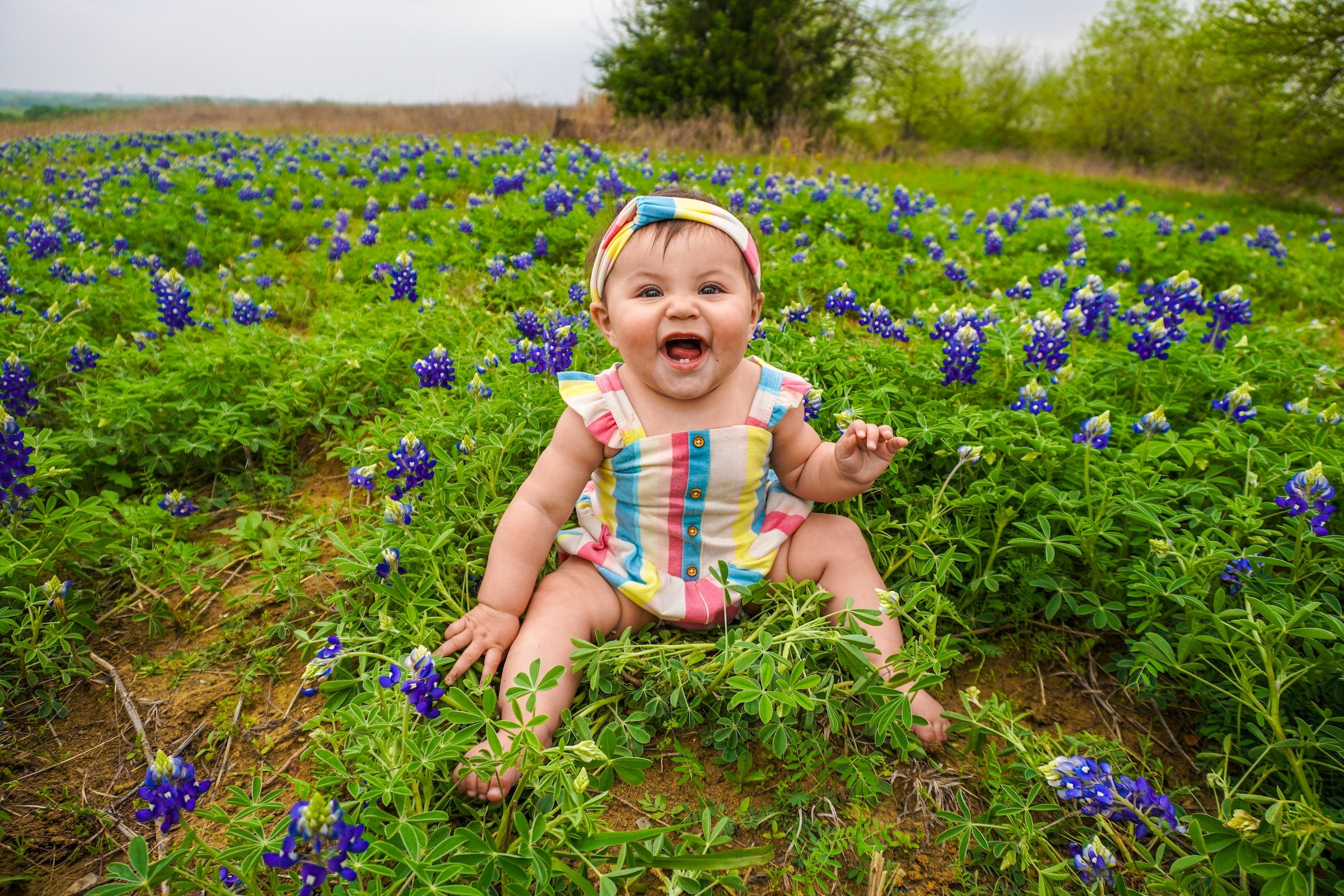 a baby sitting in a field of flowers