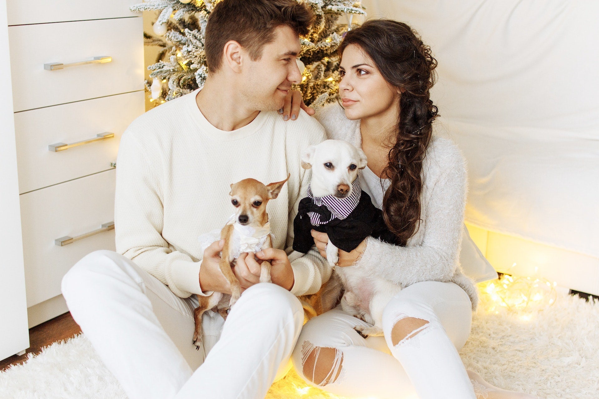 couple with dogs during the holiday season