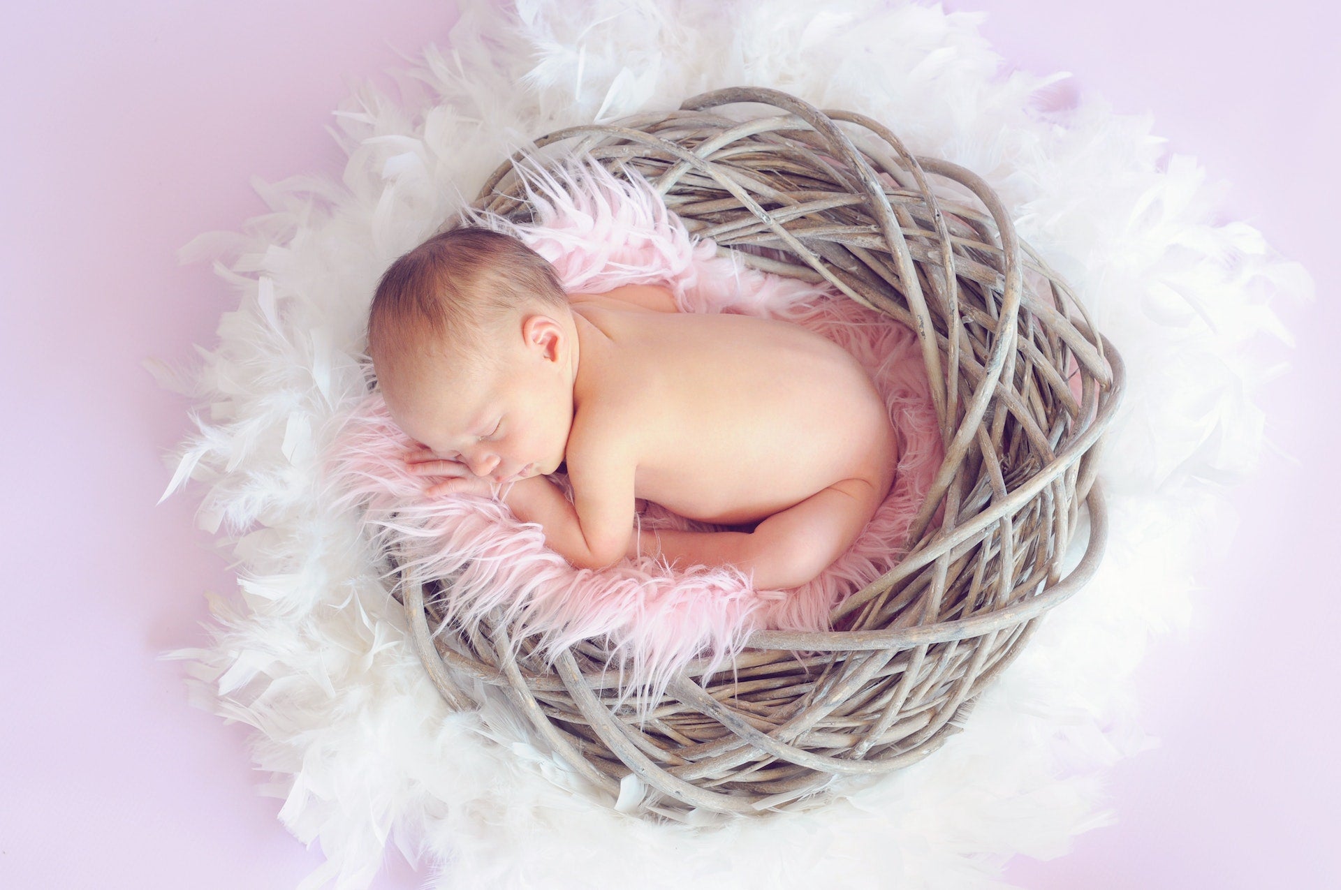 baby sleeping in a nest