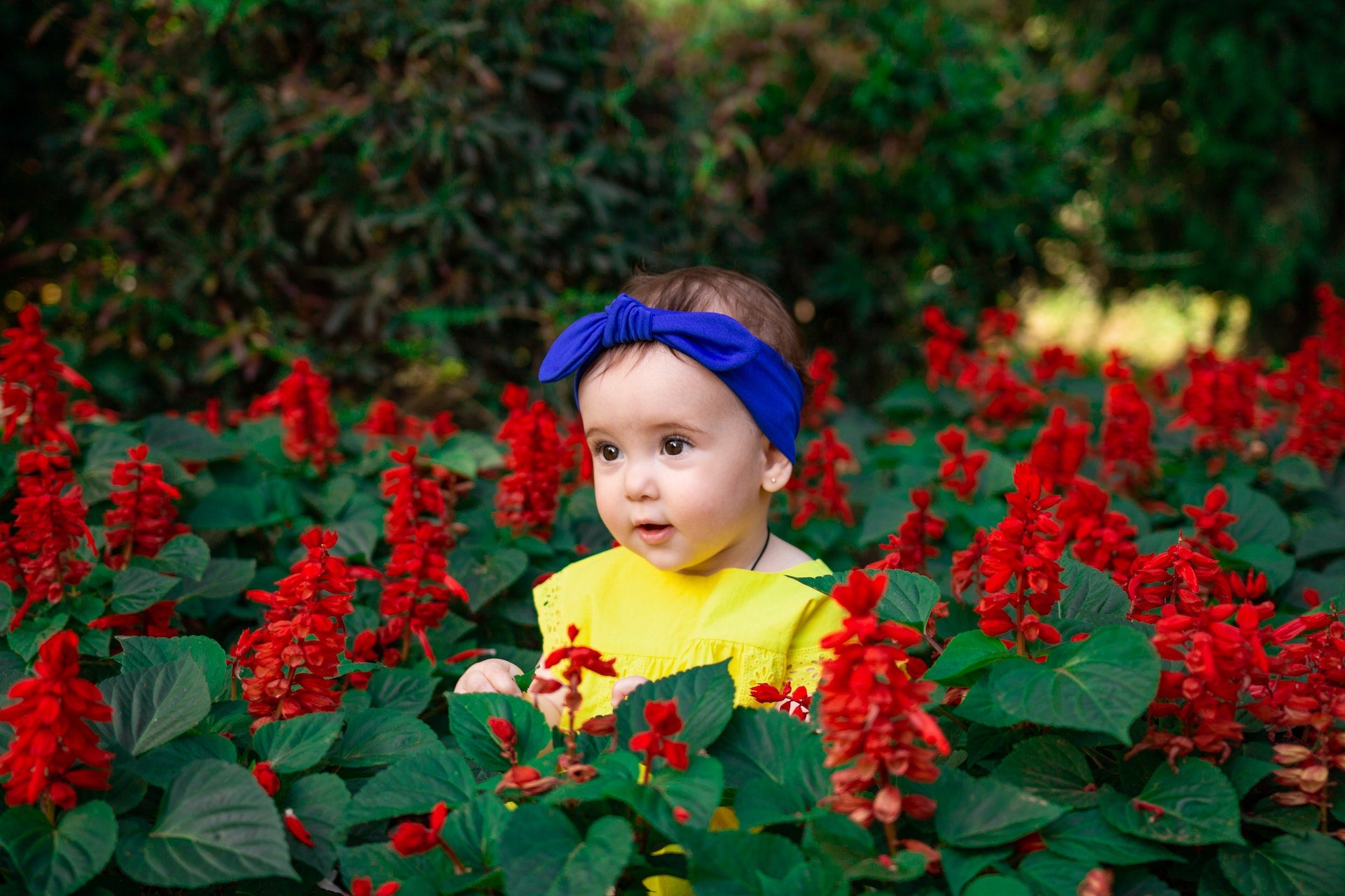 baby in the field of flowers