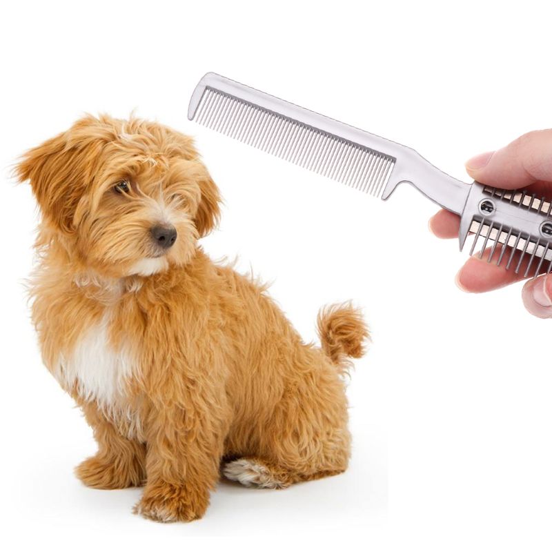 dog hair grooming tools