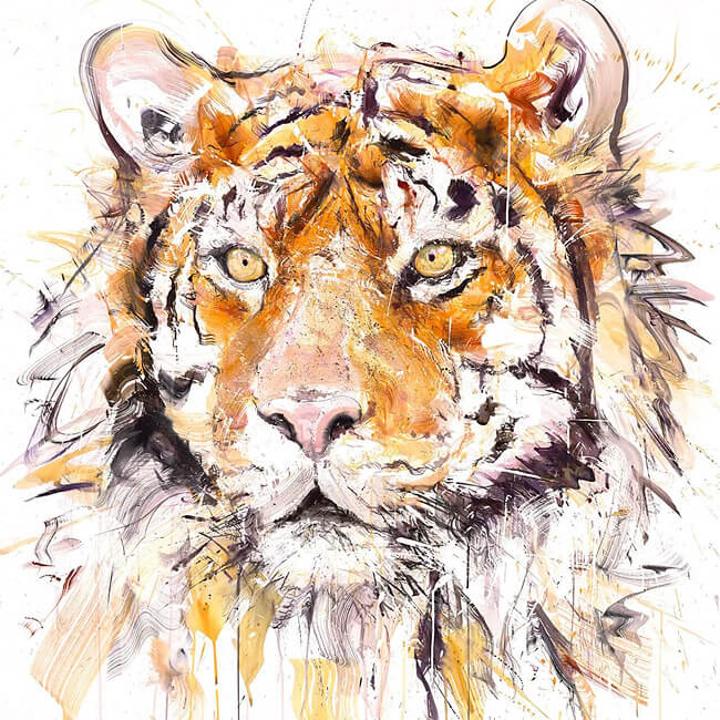 Dave White Tiger Print