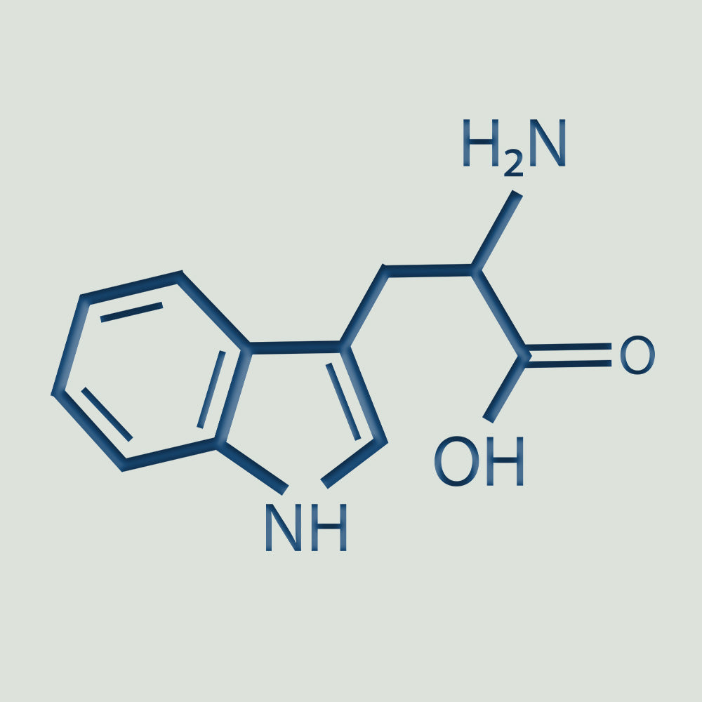Chemical representation of L-tryptophan