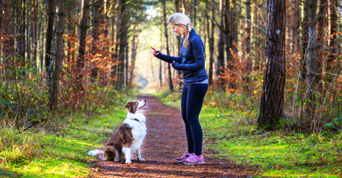 Woman and a dog on an outdoor trail.
