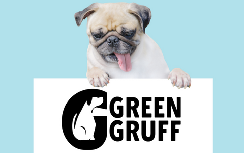 Pug looking at a sign with Green Gruff logo on it.