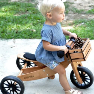 kinderfeets 2 in 1 trike