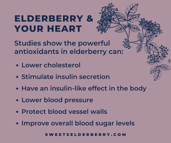 Heart Health Benefits of Elderberry