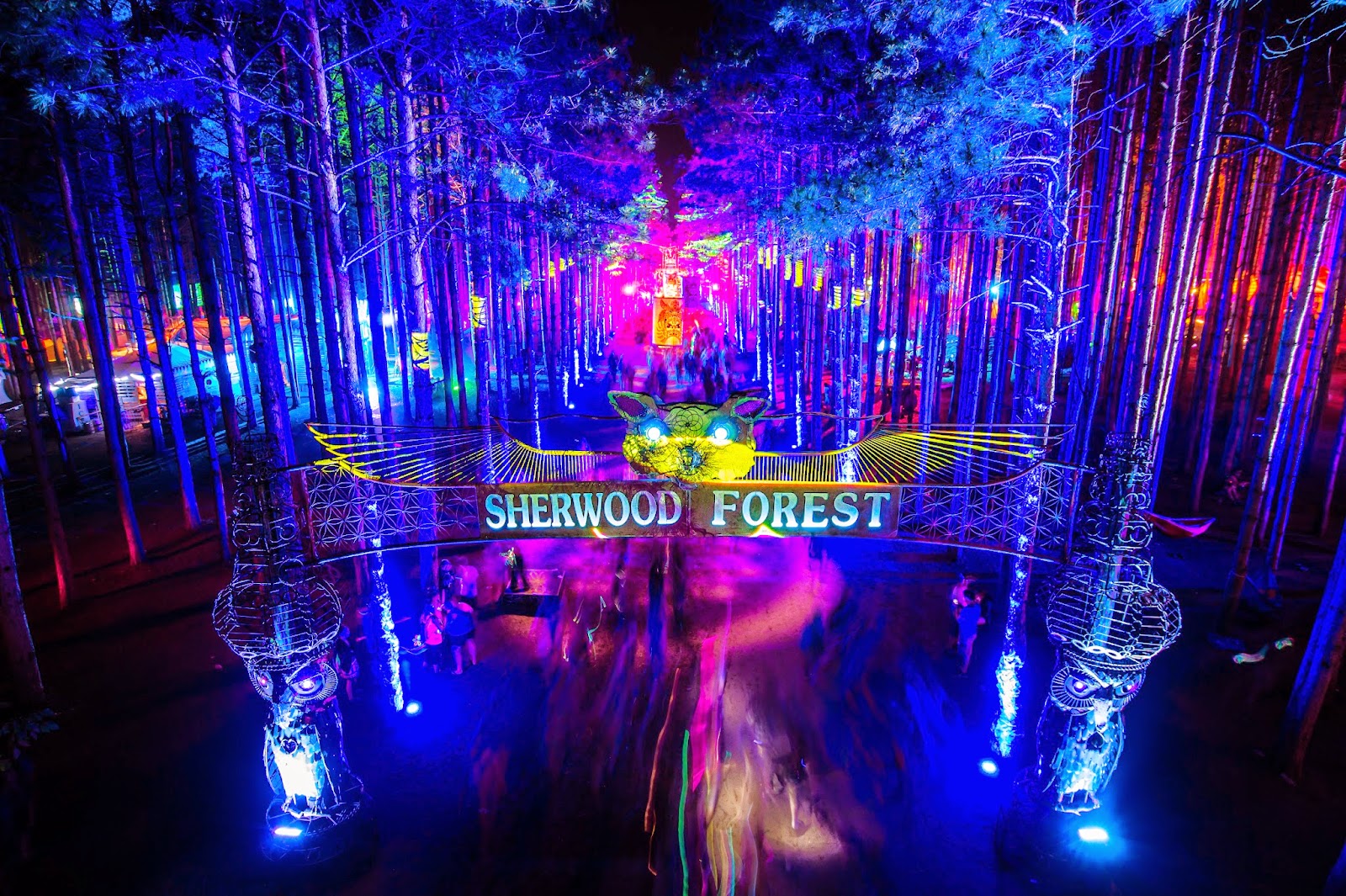 Everything You Need to Know About Electric Forest Festival – Ready Fest Go