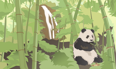 dessin panda foret bambou