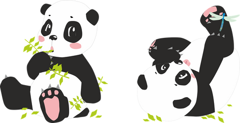 dessin panda mignon