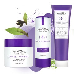 Kit - French Aging Routine