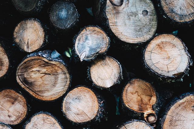 Cedar Wood logs