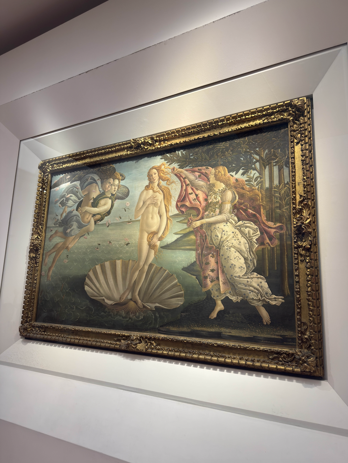 iamge of the birth of venus by Botticelli at the Uffizi gallery in Florence