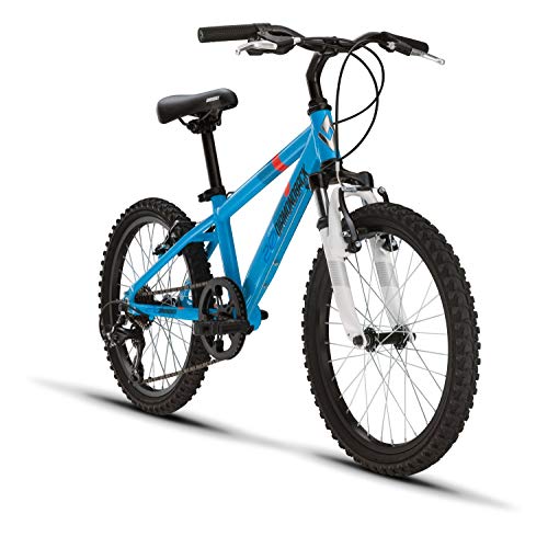 diamondback mountain bike blue