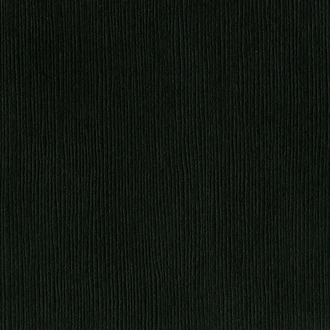 Bazzill Cardstock - Blackbird