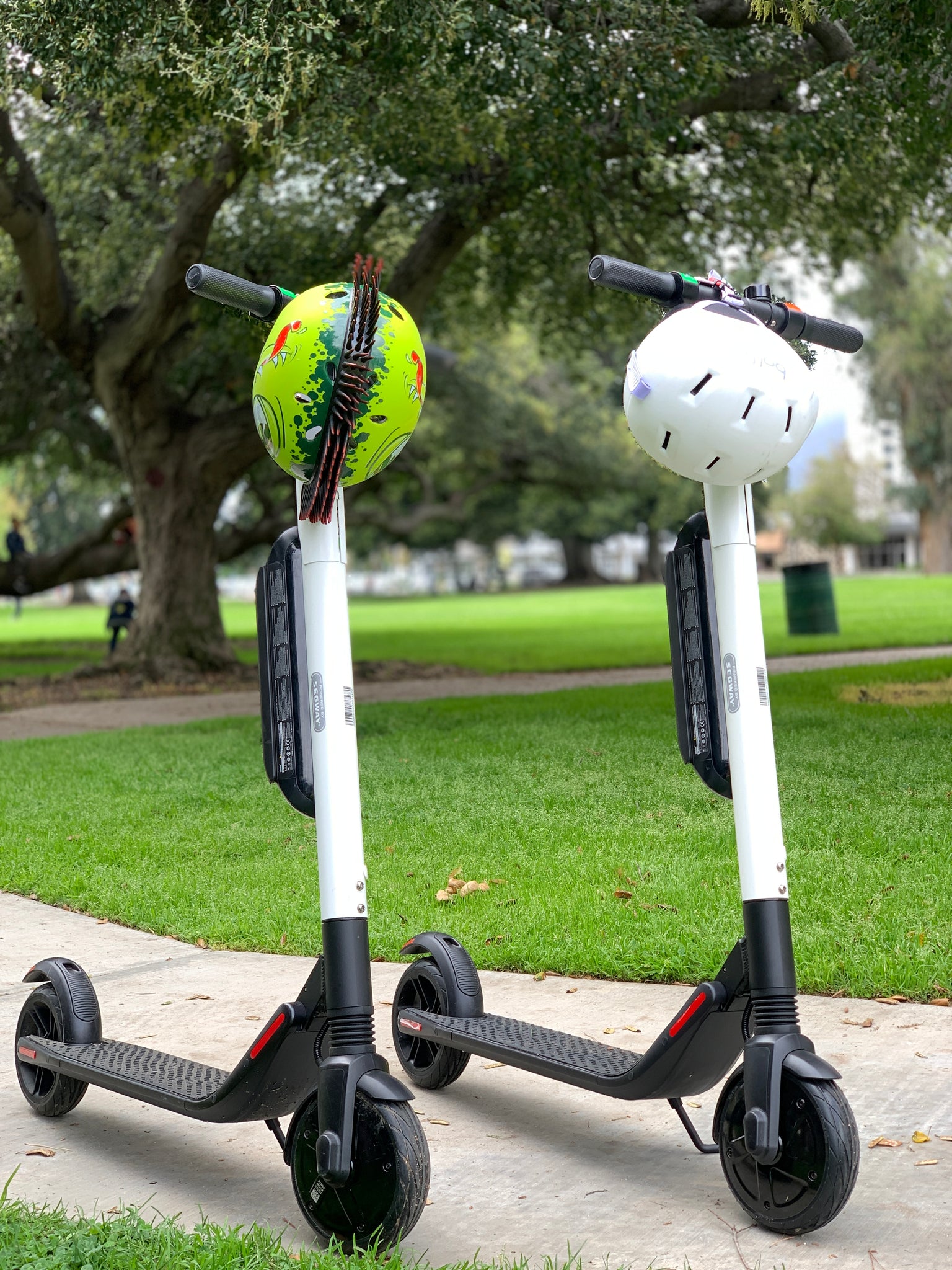 segway es4