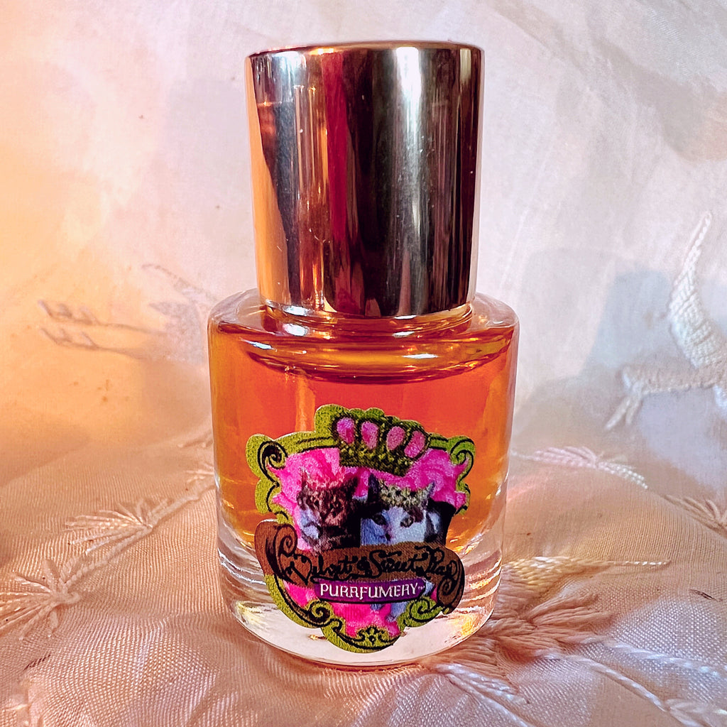 Amazoncom  PREFERRED FRAGRANCE Tattooed By Inky Woman a Mi Amor Eau De  Parfum Spray 33 Ounces 100 Ml  Impression of Ed Hardy By Christian  Audigier  Eau De Parfums  Beauty  Personal Care