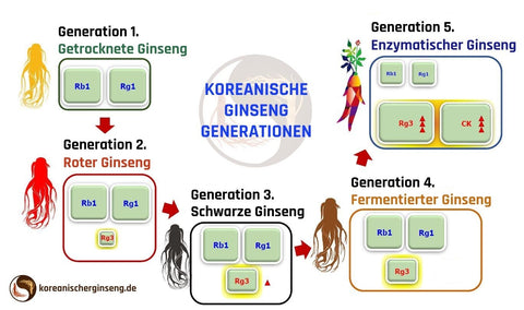 Enzymatisch Ginseng 5. generation