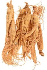 Ginseng und Ginkgo Biloba