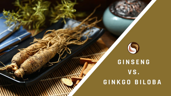 Ginseng vs. ginkgo biloba - wie unterscheiden sie sich