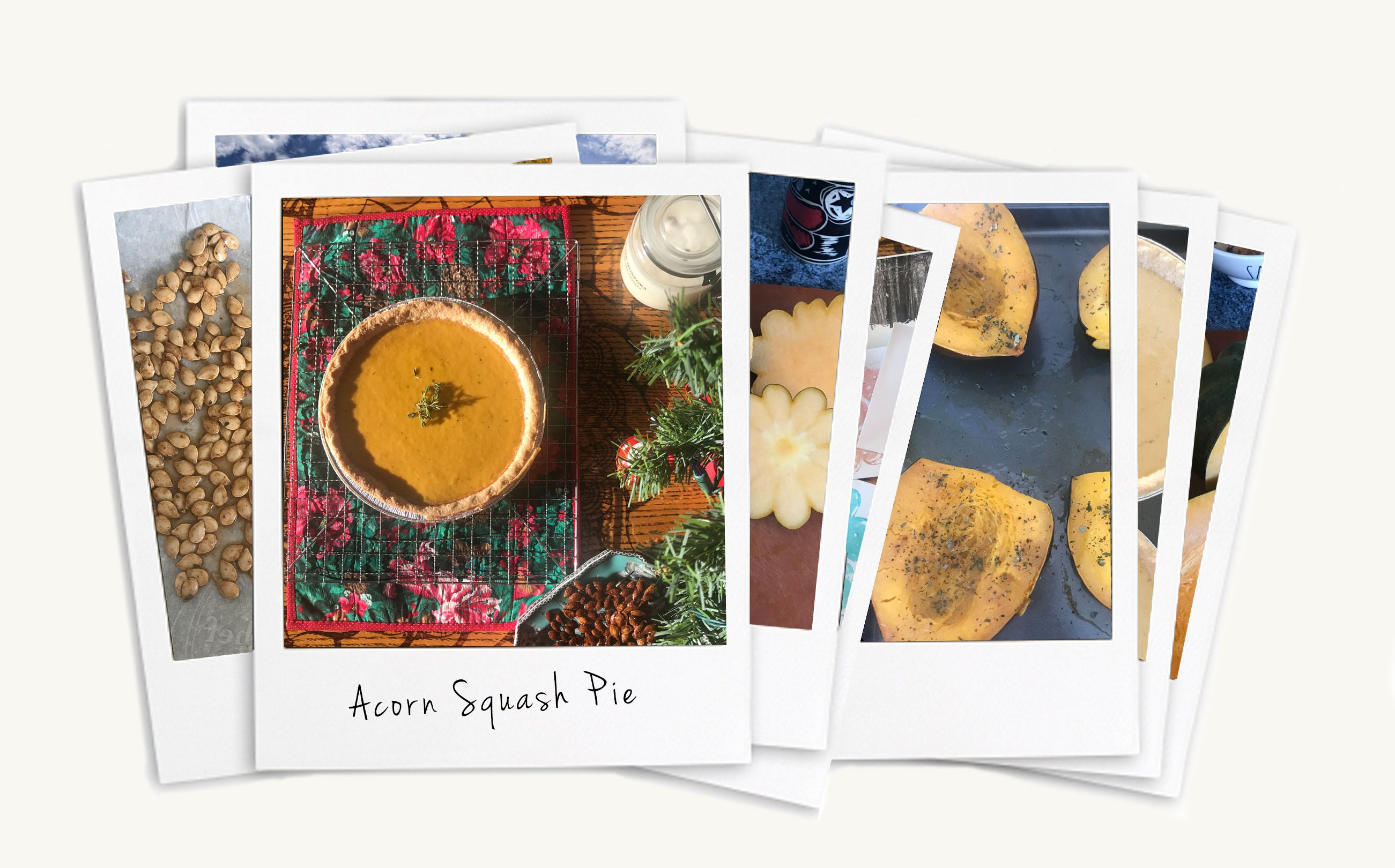 Acorn Squash Pie