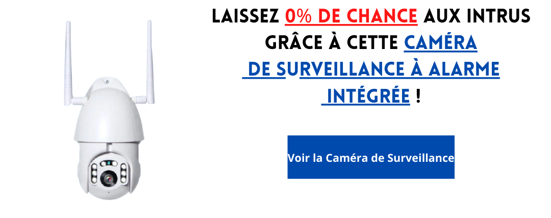 caméra de surveillance avec alarme