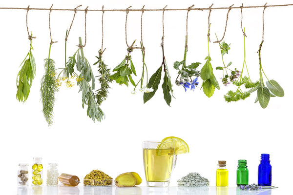 Integrative and Herbal Medicine to help recover from Surgery.