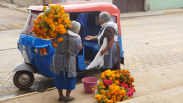 Day of the Dead Oaxaca