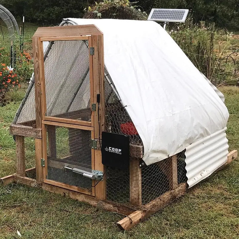 Coop Controls Automatic chicken coop door opener with solar on a chicken coop door in a garden.webp__PID:19e8778c-9c39-496a-871b-314ead97ea7a