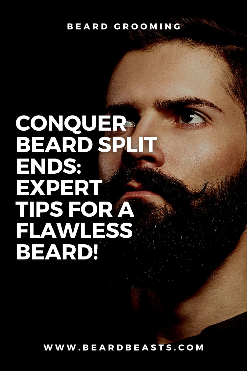 Conquer Beard Split Ends: Expert Tips for a Flawless Beard! – Beard Beasts