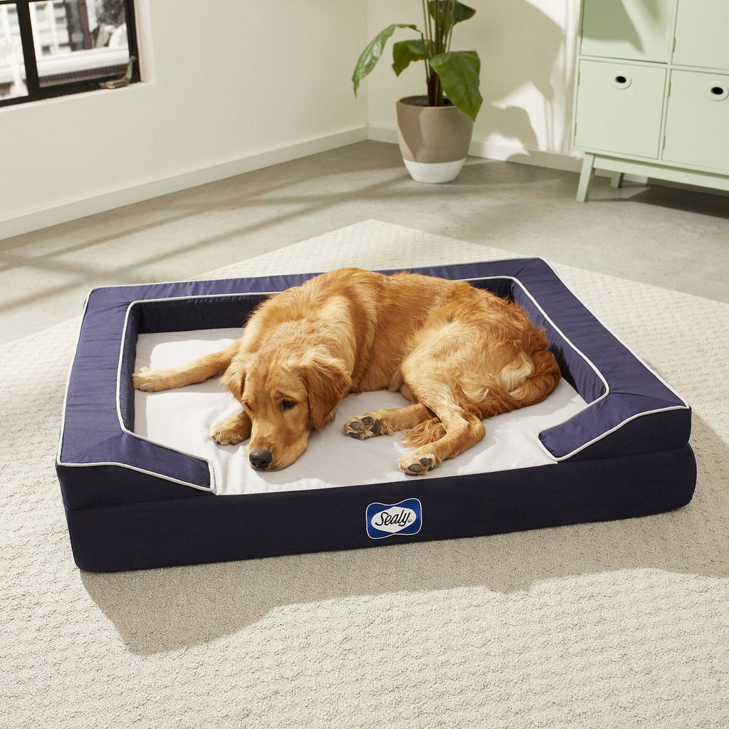 A Cooling Bed For Dogs