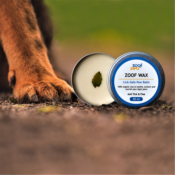 Dog Paw: Zoof Wax