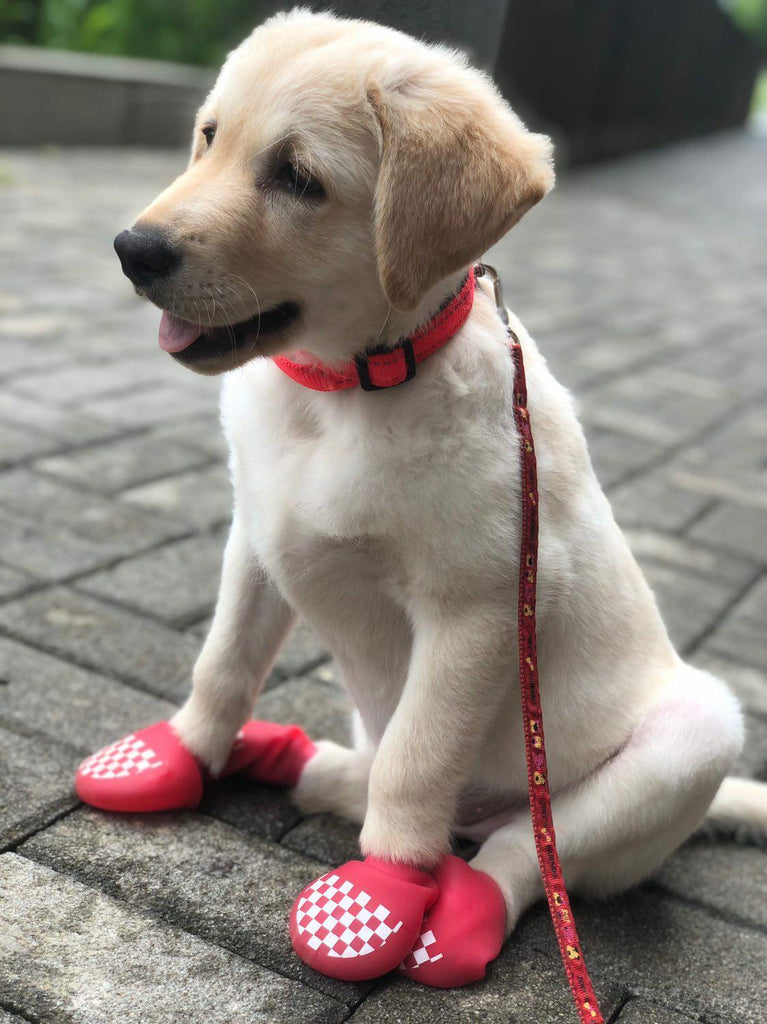 Red Colored Zoof Boots