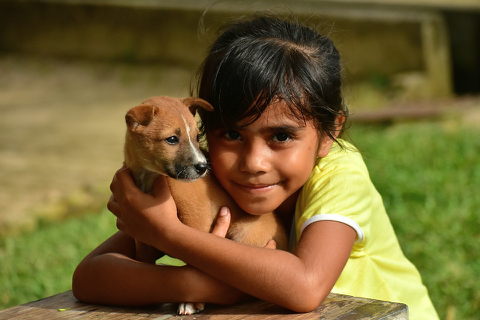 Child Playing With Dog