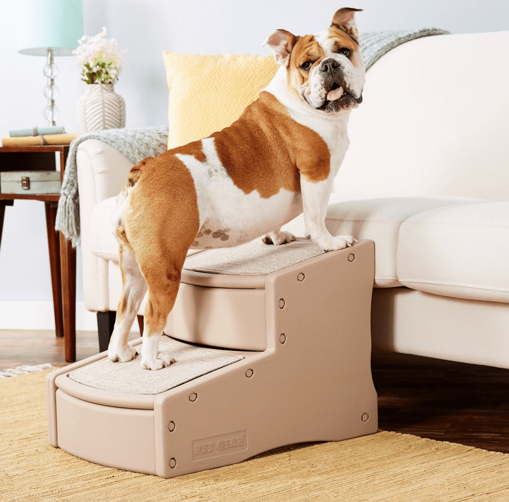 Dog portable stairs